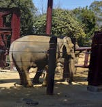 恩賜上野動物園に投稿された画像（2025/3/22）