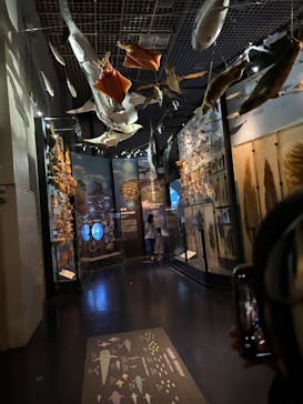 国立科学博物館に投稿された画像（2025/3/22）