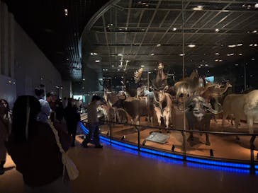 国立科学博物館に投稿された画像（2025/3/22）