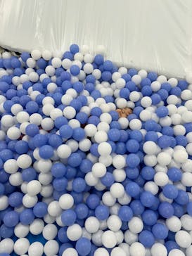 キッズランドUS 兵庫伊丹店に投稿された画像（2025/3/22）