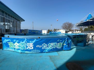 のとじま水族館に投稿された画像（2025/3/22）