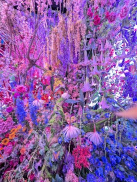 蜷川実花展 with EiM：彼岸の光、此岸の影 NINAGAWA Mika with EiM：Lights of the beyond, Shadows of this worldに投稿された画像（2025/3/22）