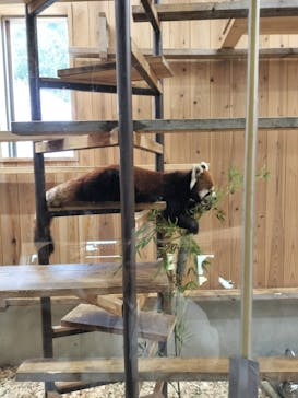 名古屋市東山動植物園に投稿された画像（2025/3/22）