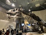 国立科学博物館に投稿された画像（2025/3/22）