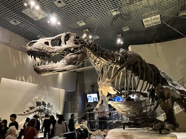国立科学博物館に投稿された画像（2025/3/22）