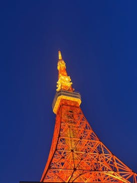 東京タワーに投稿された画像（2025/3/22）