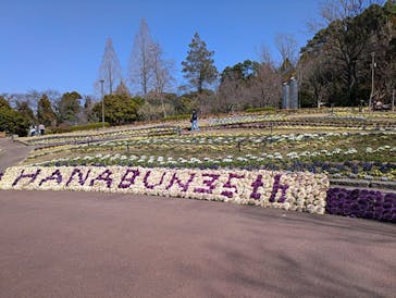大阪府立花の文化園に投稿された画像（2025/3/22）