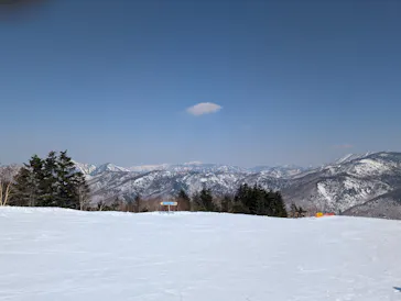 志賀高原マウンテンリゾートに投稿された画像（2025/3/22）