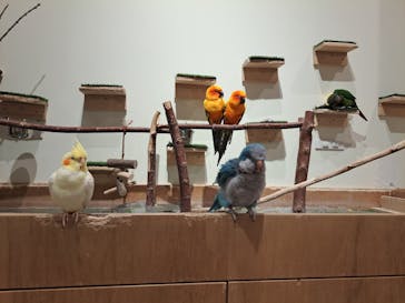 Moff animal cafe イオンモール新利府店に投稿された画像（2025/3/22）