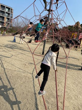 京都鉄道博物館×京都水族館に投稿された画像（2025/3/22）