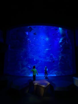 京都鉄道博物館×京都水族館に投稿された画像（2025/3/22）