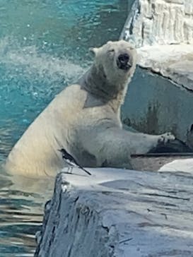 天王寺動物園に投稿された画像（2025/3/22）