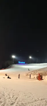ダイナランドに投稿された画像（2025/3/22）