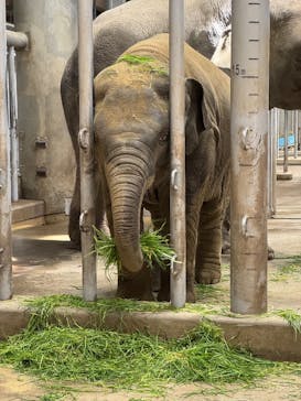 名古屋市東山動植物園に投稿された画像（2025/3/22）