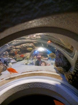 名古屋港水族館に投稿された画像（2025/3/22）