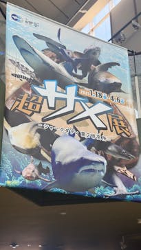 アクアワールド茨城県大洗水族館に投稿された画像（2025/3/22）
