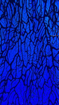 アクアワールド茨城県大洗水族館に投稿された画像（2025/3/22）