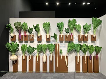 特別展「和食～日本の自然、人々の知恵～」に投稿された画像（2025/3/22）