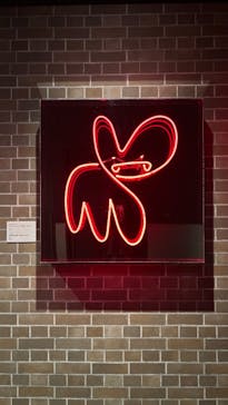 ストリートアートの進化と革命 展　- Street Art (R)Evolution -に投稿された画像（2025/3/22）