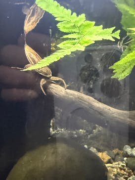 京都水族館×ニデック京都タワーに投稿された画像（2025/3/22）