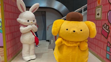 サンリオピューロランドに投稿された画像（2025/3/22）