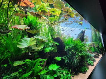 AOAO SAPPOROに投稿された画像（2025/3/22）