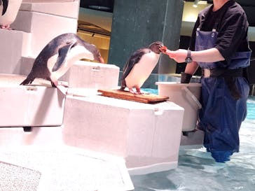 AOAO SAPPOROに投稿された画像（2025/3/22）