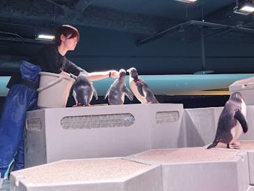 AOAO SAPPOROに投稿された画像（2025/3/22）