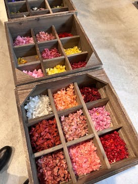 SEND Hiroshimaに投稿された画像（2025/3/22）