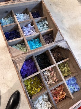 SEND Hiroshimaに投稿された画像（2025/3/22）