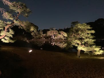 六義園に投稿された画像（2025/3/22）