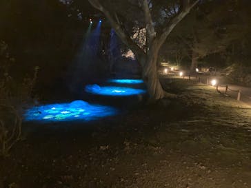 六義園に投稿された画像（2025/3/22）