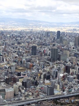 ハルカス300(展望台)に投稿された画像（2025/3/22）