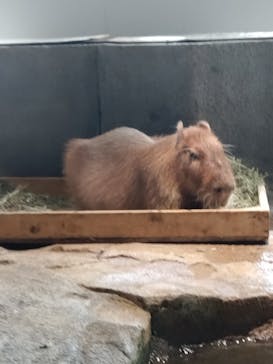 NIFREL（ニフレル）に投稿された画像（2025/3/22）