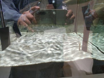 NIFREL（ニフレル）に投稿された画像（2025/3/22）