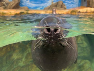 マリンワールド海の中道に投稿された画像（2025/3/22）