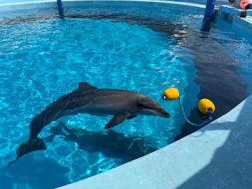 マリンワールド海の中道に投稿された画像（2025/3/22）