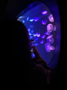 マリンワールド海の中道に投稿された画像（2025/3/22）