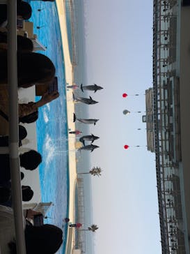 マリンワールド海の中道に投稿された画像（2025/3/22）