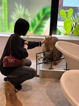 アニタッチ 東京ドームシティに投稿された画像（2025/3/22）