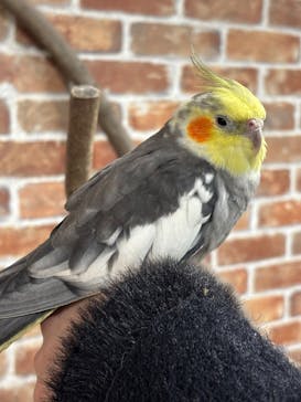 アニタッチ 東京ドームシティに投稿された画像（2025/3/22）