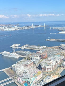 横浜ランドマークタワー 69階展望フロア スカイガーデンに投稿された画像（2025/3/22）