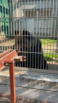 名古屋市東山動植物園に投稿された画像（2025/3/22）