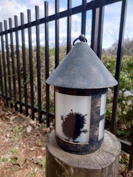 ムーミンバレーパークに投稿された画像（2025/3/22）