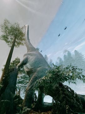 福井県立恐竜博物館に投稿された画像（2025/3/23）