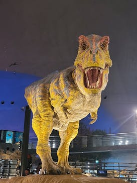福井県立恐竜博物館に投稿された画像（2025/3/23）