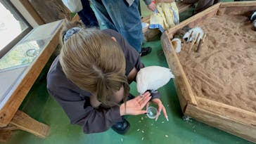 長崎バイオパークに投稿された画像（2025/3/23）