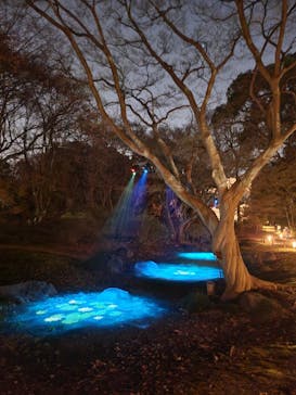 六義園に投稿された画像（2025/3/23）