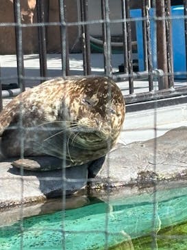 恩賜上野動物園に投稿された画像（2025/3/23）