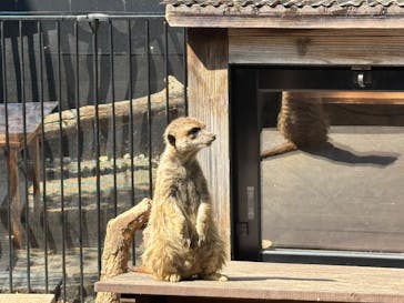 恩賜上野動物園に投稿された画像（2025/3/23）